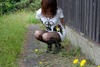 5527037.jpg (277KB)
