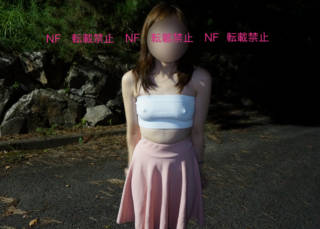 5533356.jpg (339KB)
