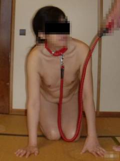 5557545.jpg (26KB)