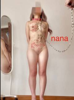 5567096.jpg (334KB)