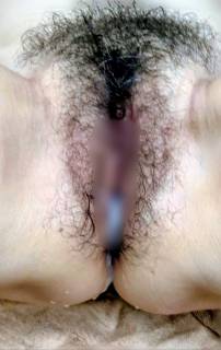 5689918.jpg (134KB)