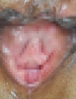 5703196.jpg (476KB)