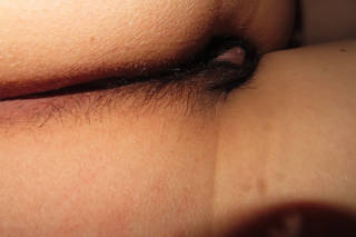 5704274.jpg (218KB)