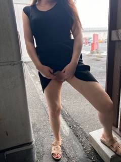 5725211.jpg (343KB)