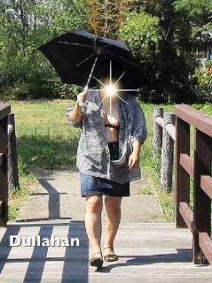 5740628.jpg (289KB)
